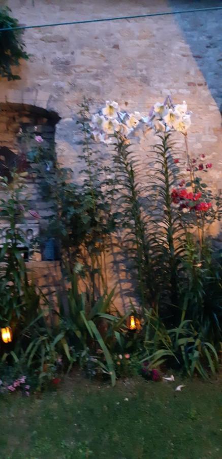 Bell'Accueil Chambres D'Hotes Cluny Exterior foto